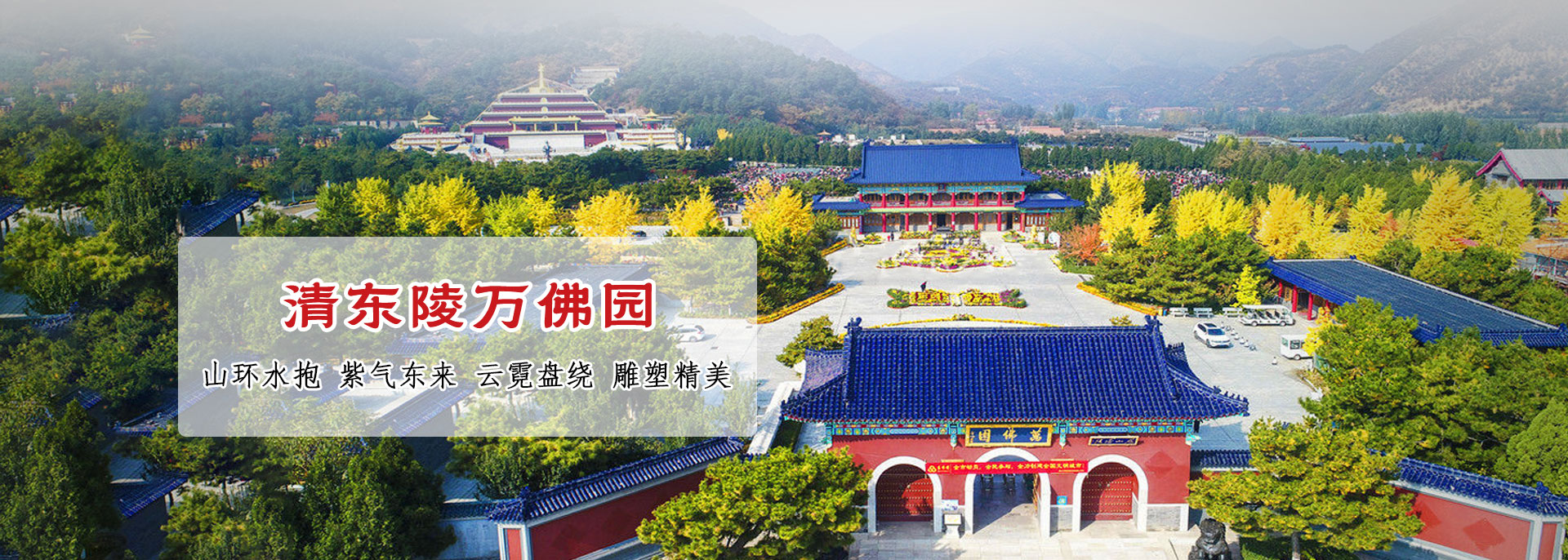 第三组广告